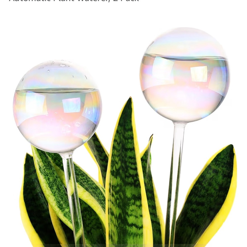 4 Iridescent Glass Plant Watering Globes